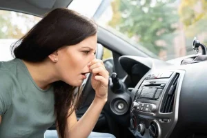 removing mold from inside a car