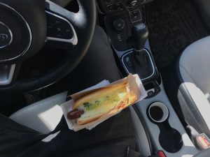 pungent food car odor removal service